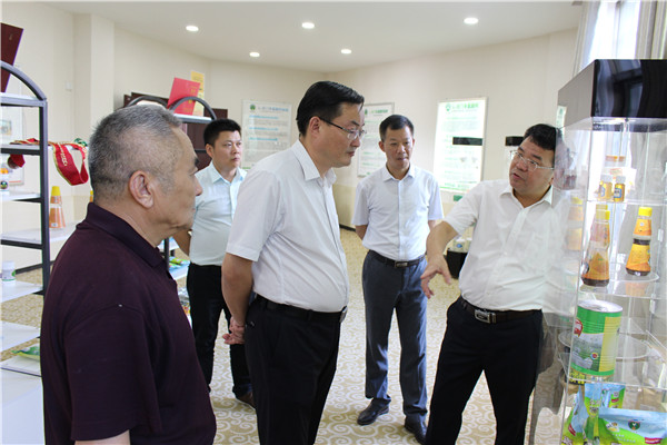 2019.8.29縣委胡書記陪同九江羅文江市長參觀公司.JPG